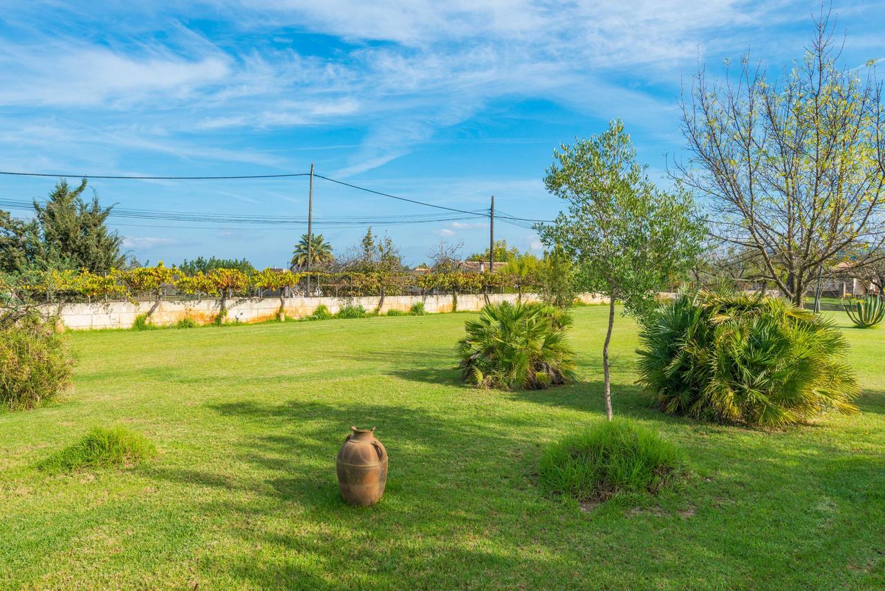 Sa Vinyeta By Mallorca Selection * Selva (Mallorca)